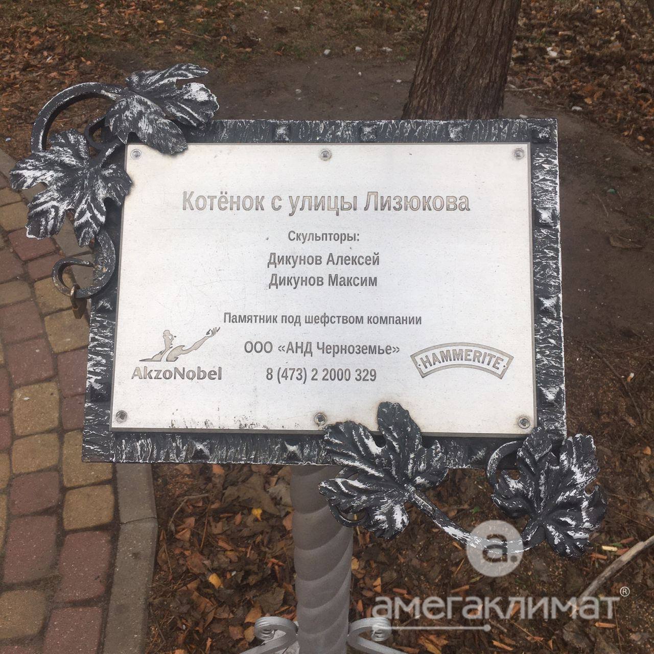 Посещение обучающего семинара по печам Астов в г. Воронеже