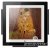 Инверторный кондиционер картина LG Artcool Gallery A09FT 
