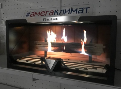 Электрокамин Feuerbach Type-800  