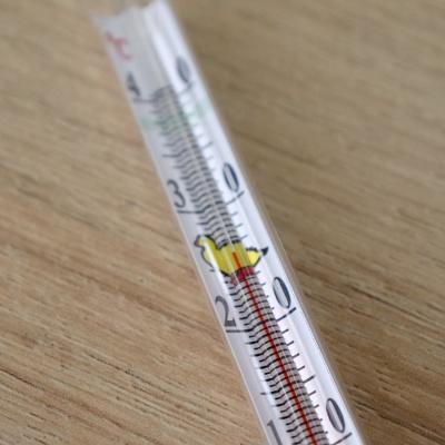 Термометр для инкубатора ТИ-1 (0-40 С) 